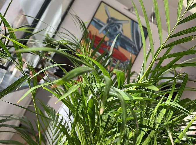 Hotel Vieille Tour Centre Rouen